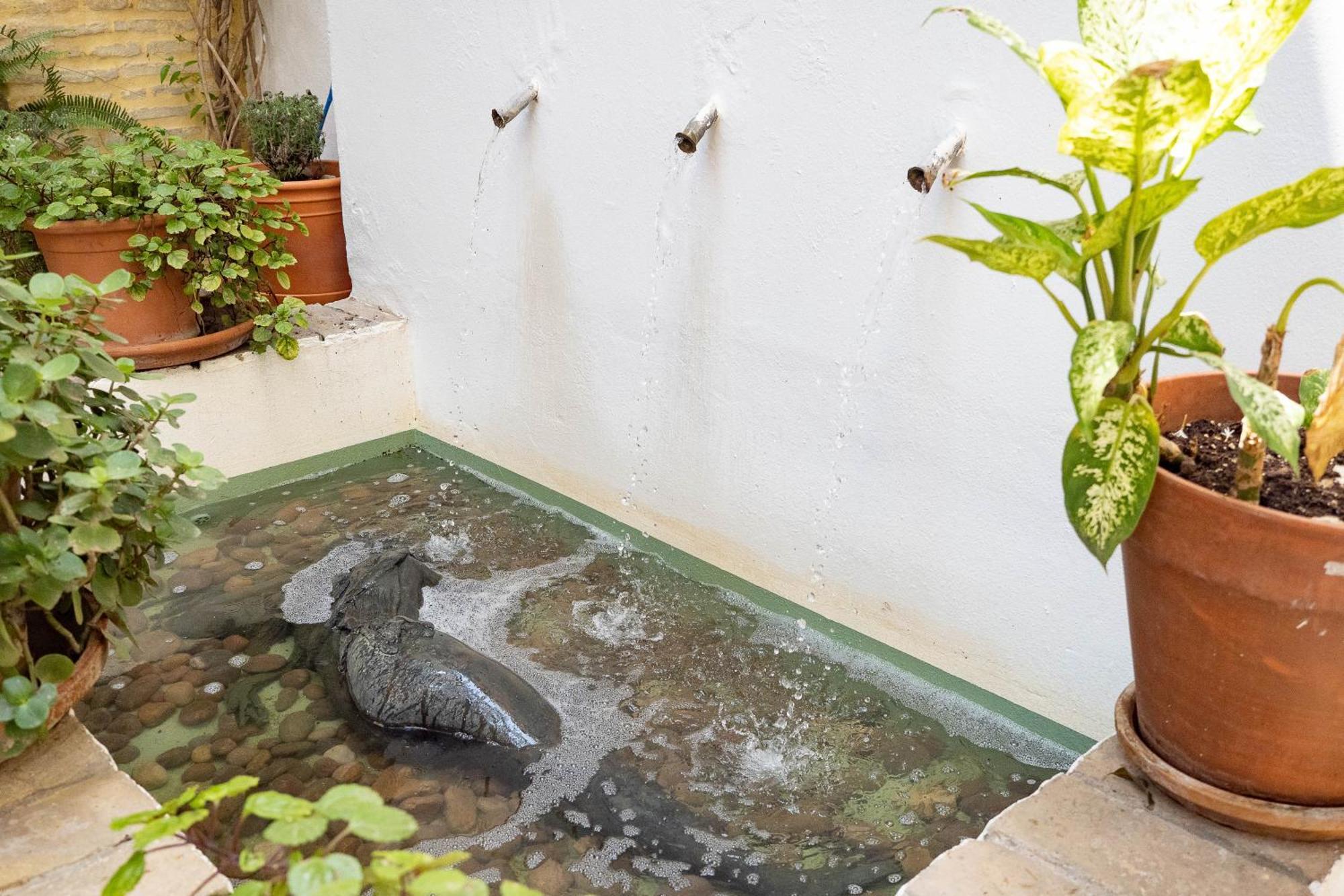 La Casa 1832 Boutique Bed & Breakfast Sanlúcar de Barrameda Екстериор снимка